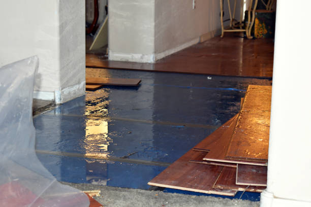 Professional Basement Flood Cleanup technician working in Williamstown, PA